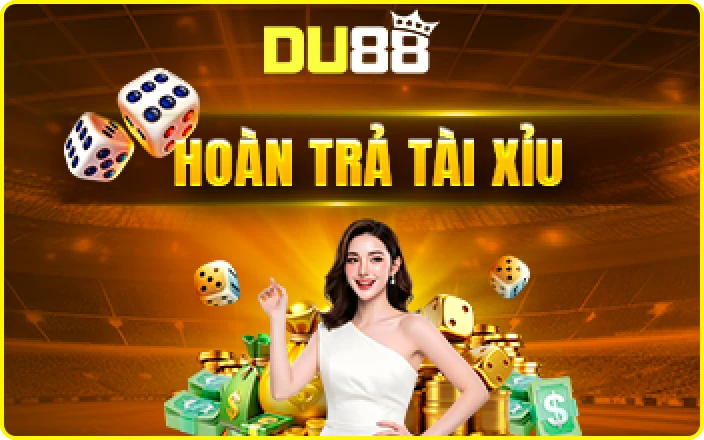 DU88 Banner 5